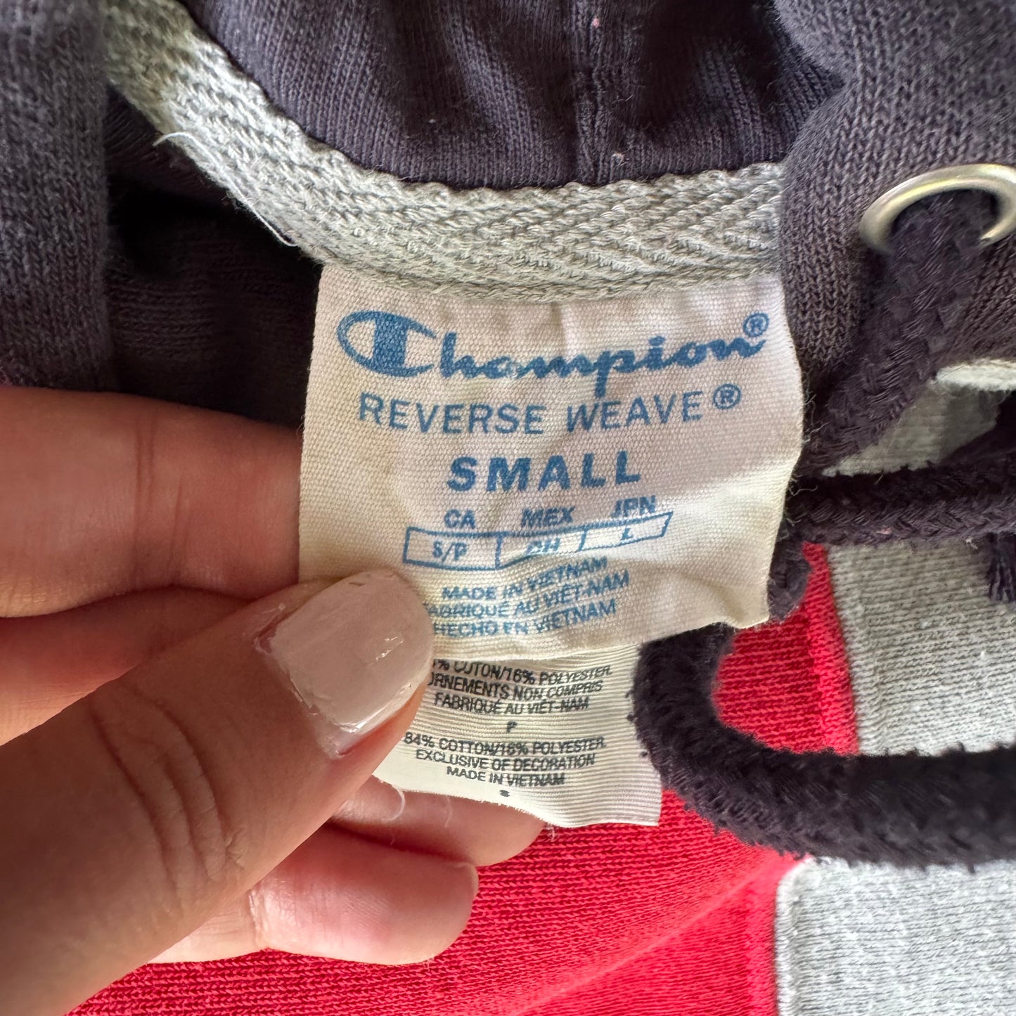 Champion Colorblock Reverse Weave Hoodie