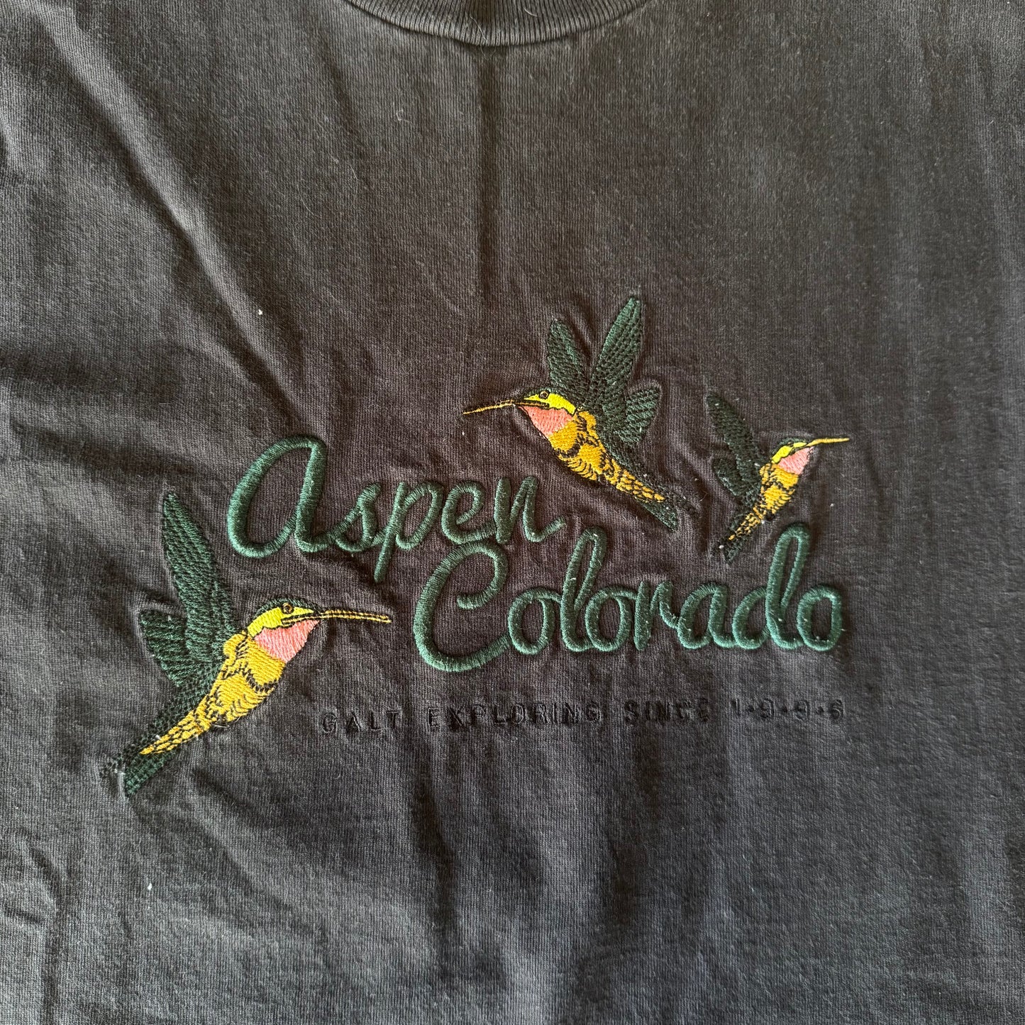 Brandy Melville Embroidered T-Shirt