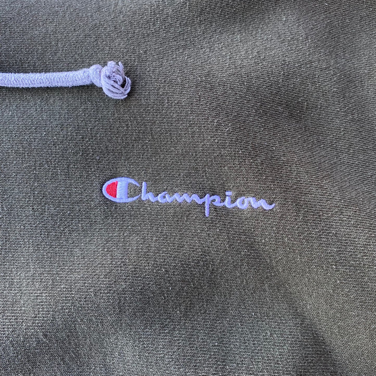 Champion Colorblock Hoodie